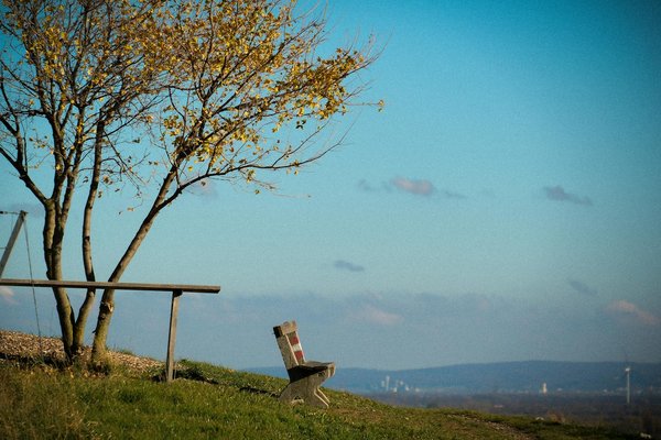 Repas équilibrés et minceur : démêler le vrai du faux